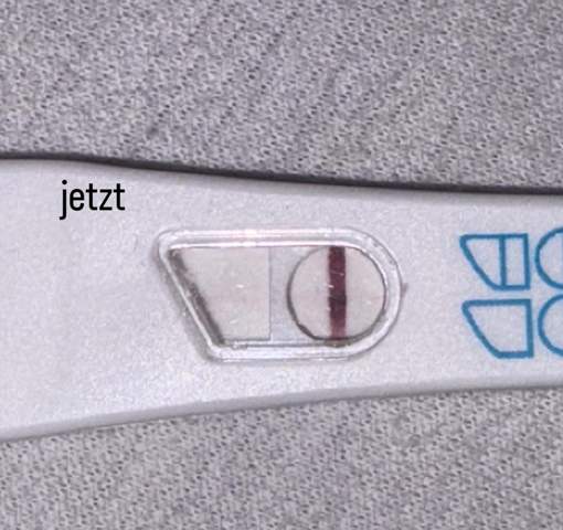 Bild zum Beitrag