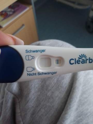 Bild zum Beitrag