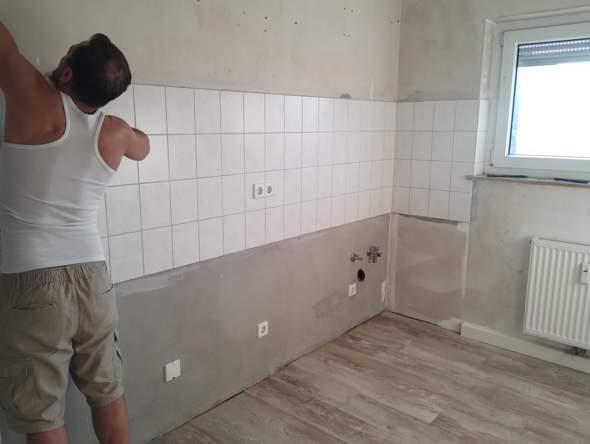 Bild zum Beitrag