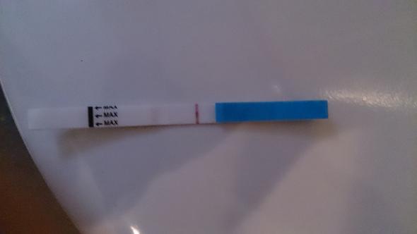 Test - (schwanger, Nicht schwanger)
