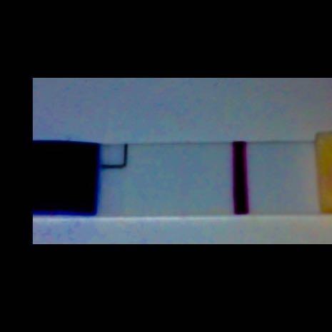 Schwangerschaftstest Kaum Erkennbare Zweite Linie Schwanger Test