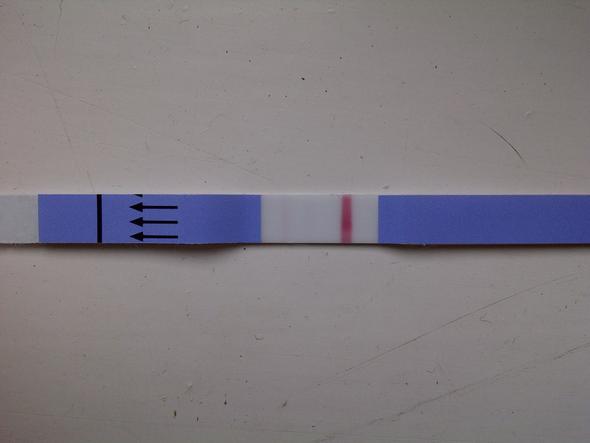 Test  - (Schwangerschaft, Schwangerschaftstest)