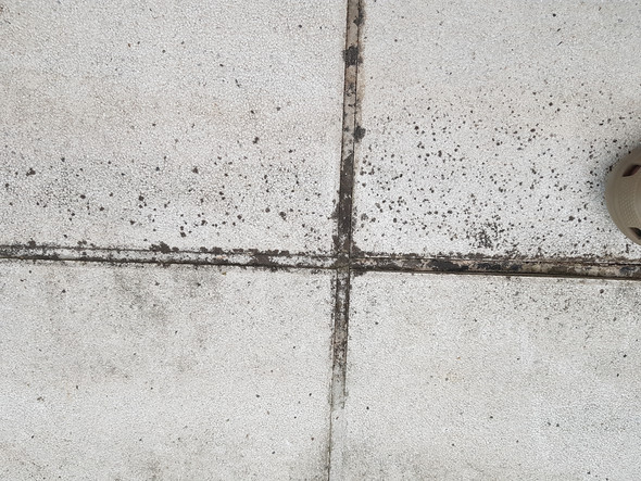 Schwarze Flecken auf Terrassenplatten wie entfernen?