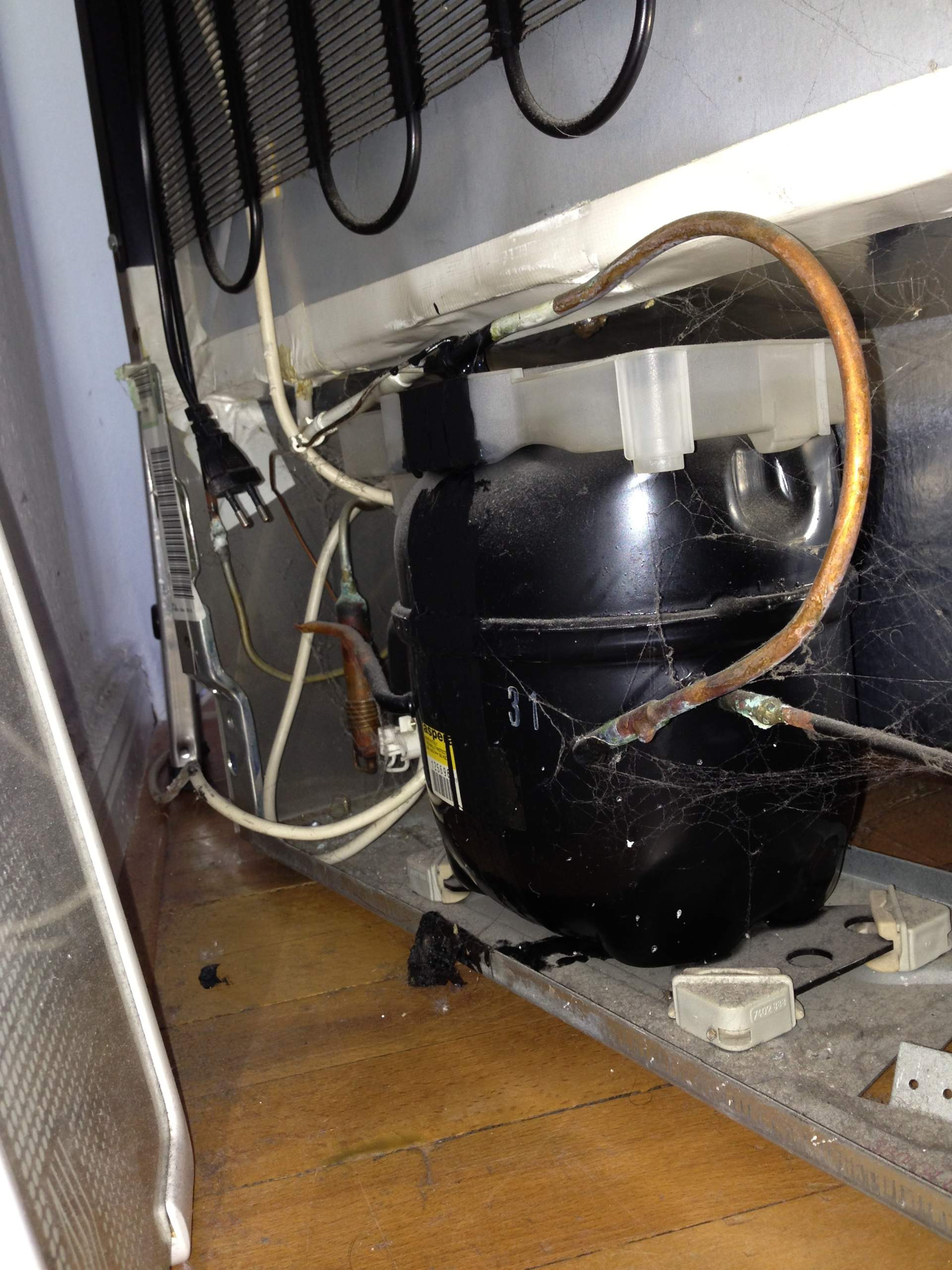 Schwarze Flüssigkeit kommt aus Kühlschrank (Küche, Elektrogeräte)