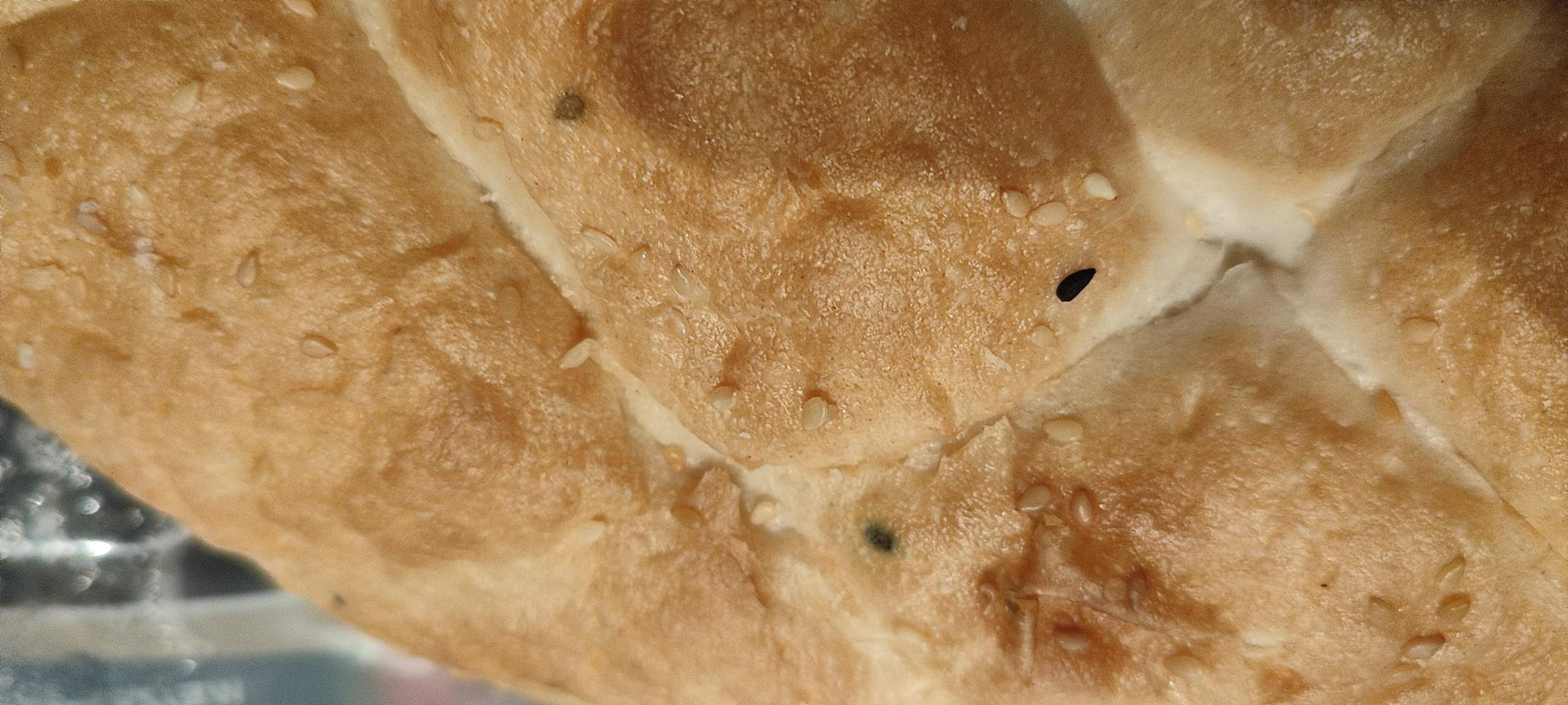 schwarze Punkte auf Fladenbrot? (Schimmel, Haltbarkeit, Brot) schwarze Punkte auf Fladenbrot? (Schimmel, Haltbarkeit, Brot)