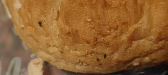 schwarze Punkte auf Fladenbrot? (Schimmel, Haltbarkeit, Brot) schwarze Punkte auf Fladenbrot? (Schimmel, Haltbarkeit, Brot)