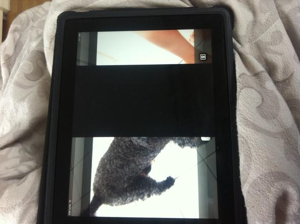 So sieht das ganze aus - (Technik, Reparatur, ipad1)