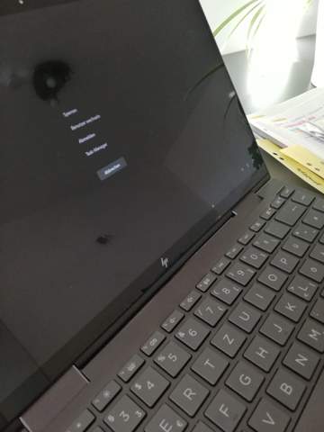 Schwarzer Bildschirm bei Hochfahren Laptop?