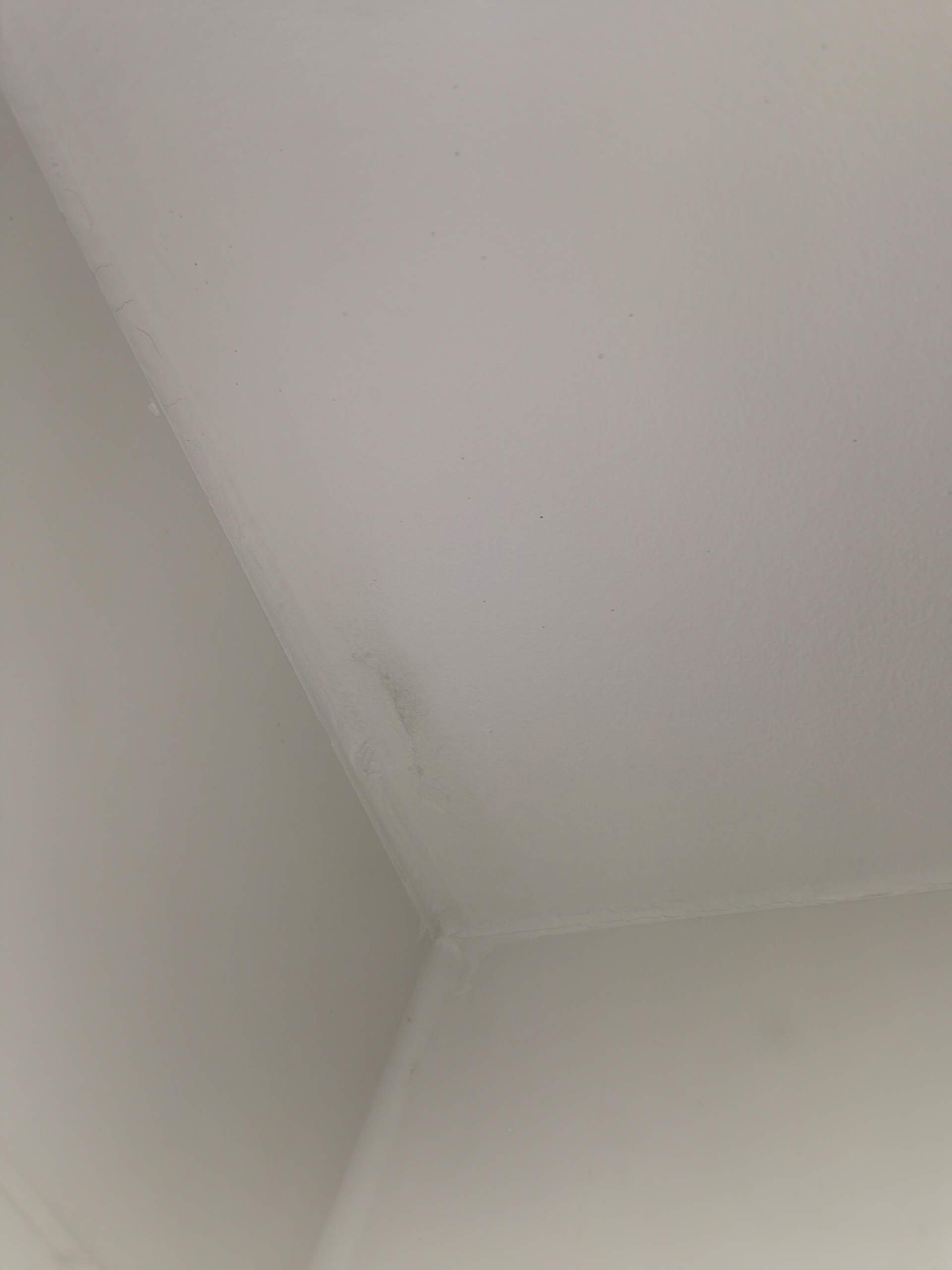 Schwarzer Fleck an der Decke was kann das sein? (Schimmel
