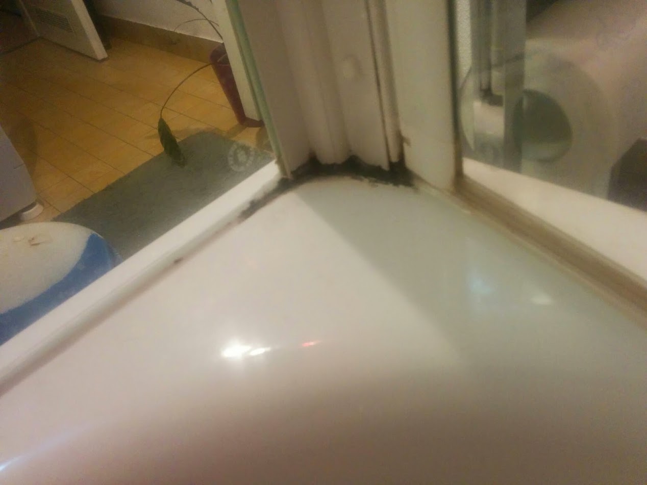 Schwarzer Schimmel An Den Gummifugen Der Duschkabine Wohnung Haushalt Putzen
