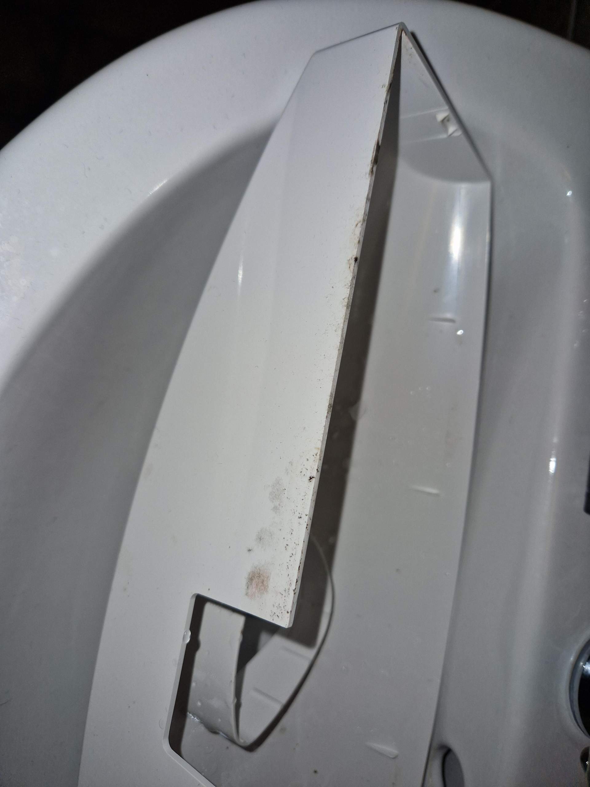 Schwarzer Schimmel in ToilettenSpülkasten? (Gesundheit, Wasser, Toilette)