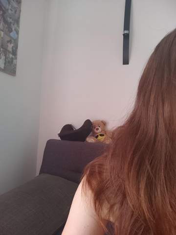Bild zum Beitrag