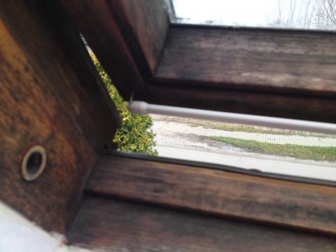 Schwarzschimmel Am Holzfenster Wie Bekommt Man Ihn Weg Mietsache