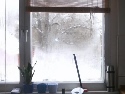 Küche - Schwitzfenster - (Wohnung, Haus, Haushalt)