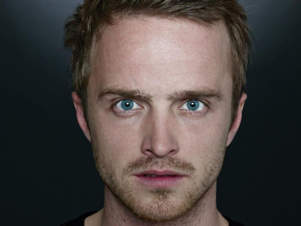 aaron(breaking bad etc.) - (Menschen, Ähnlichkeit)