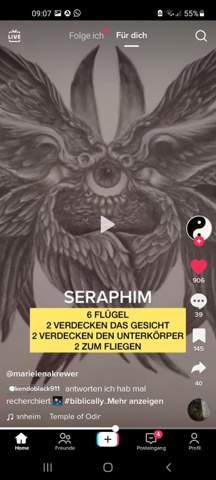 Bild zum Beitrag