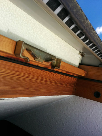 Wespennest Am Fenster