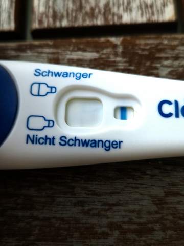Bild zum Beitrag