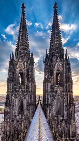 Bild zum Beitrag