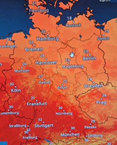 Bild zum Beitrag