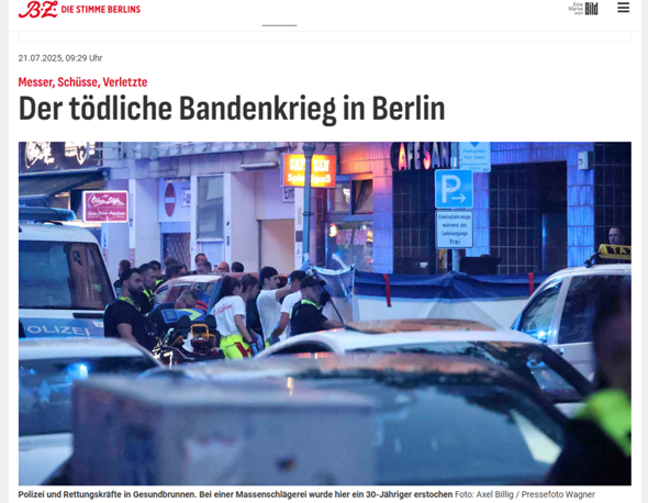 Bild zum Beitrag