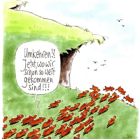 Bild zum Beitrag
