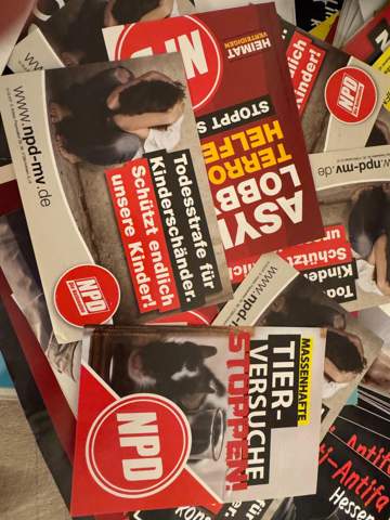 Bild zum Beitrag