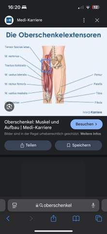 Bild zum Beitrag