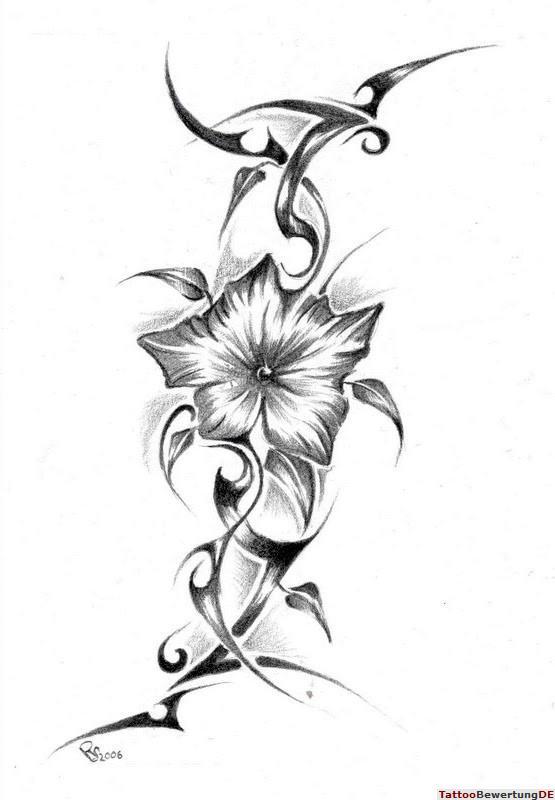 Blumen Bilder Gemalt Bleistift