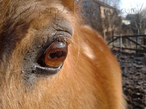 Themen rätsel Themen rätsel