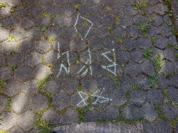 Bild zum Beitrag