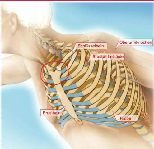 Brustbein schmerzt