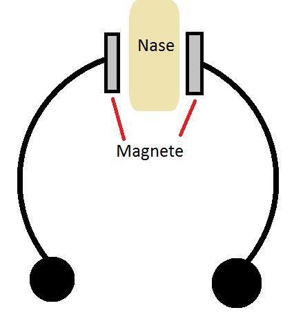 Septum Mit Magneten Wo Kann Man Die Kaufen Oder Bestellen Hilfe Beauty Piercing