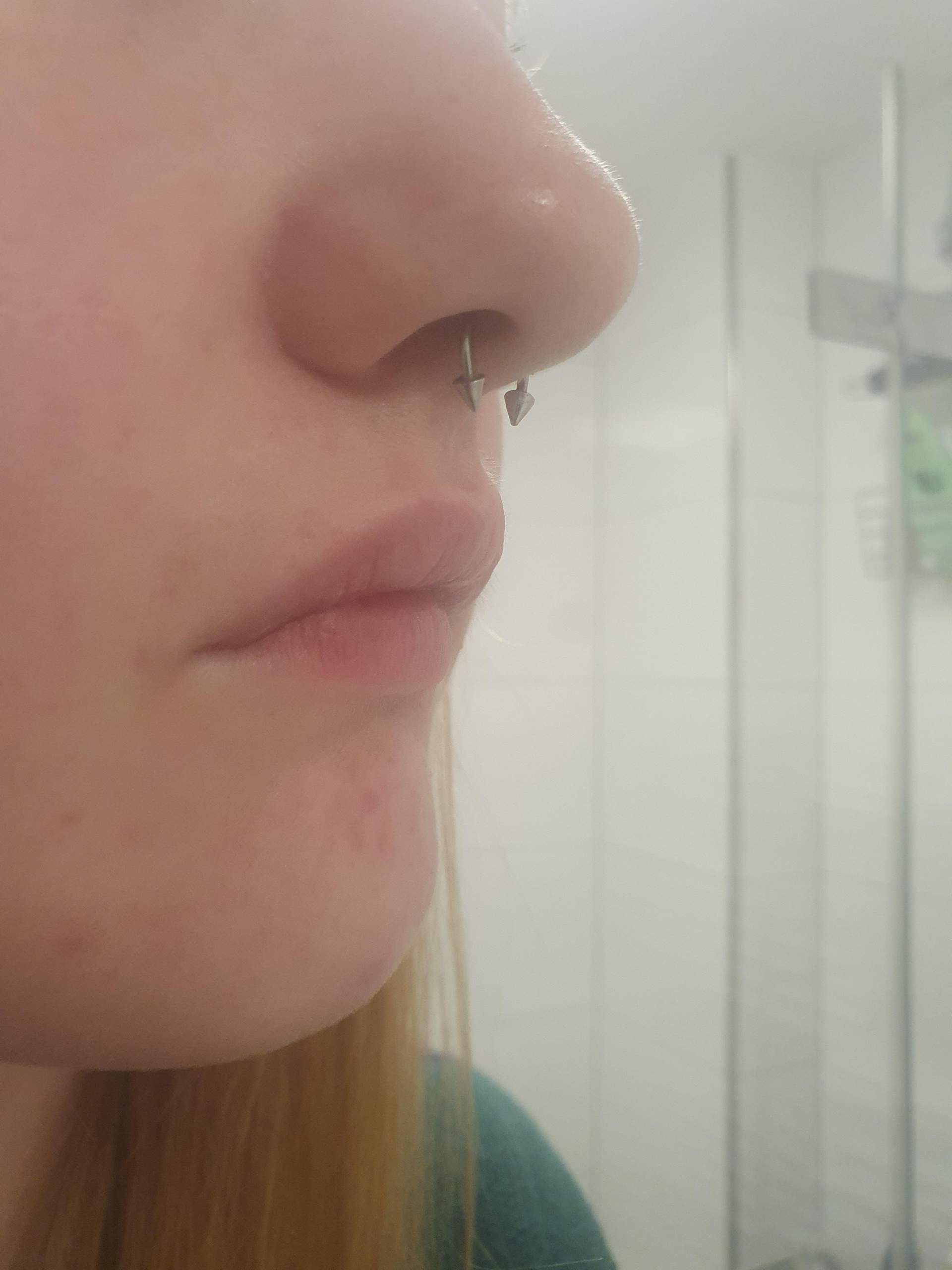 Zu Welcher Nase Passt Ein Septum