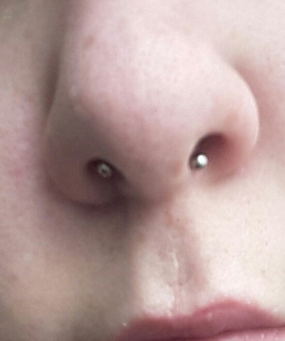 Septum - (Piercing, Nase, Piercer)