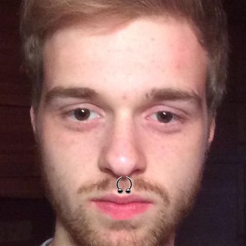 Septum Steht Mir Das