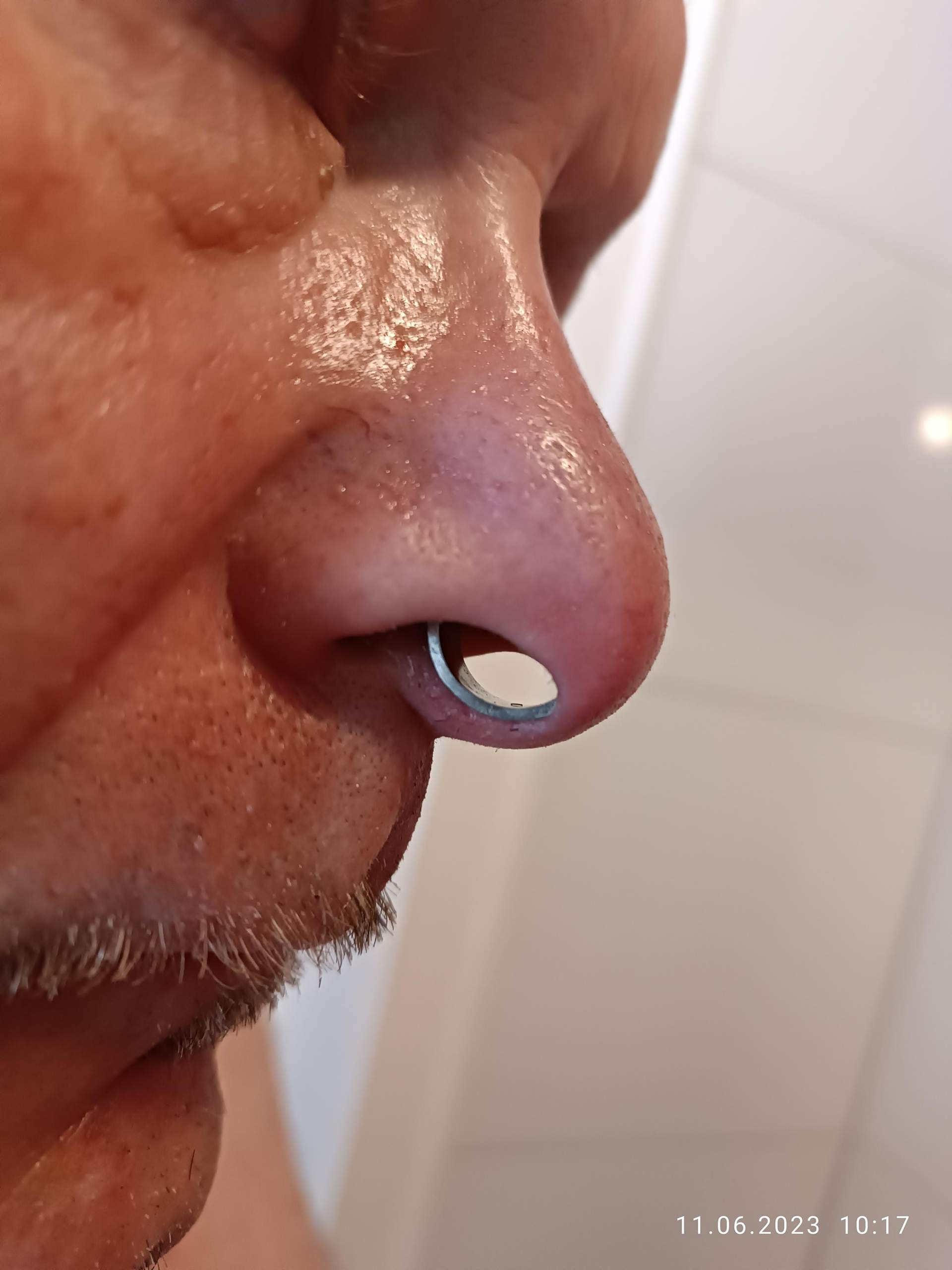 Septum zu groB 16mm Piercing Nase Nasenpiercing