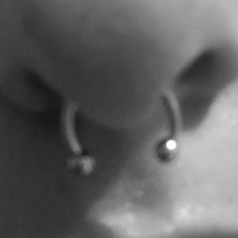 Septum Zu Tief Oder Einfach Zu Grosser Schmuck Gesundheit Und Medizin Piercing Septum Zu Tief Oder Einfach Zu Grosser Schmuck Gesundheit Und Medizin Piercing