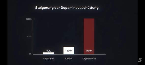 Bild zum Beitrag