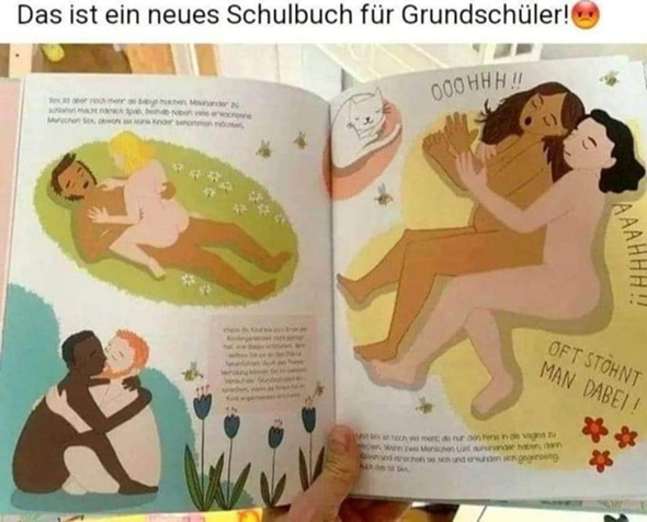 Bild zum Beitrag