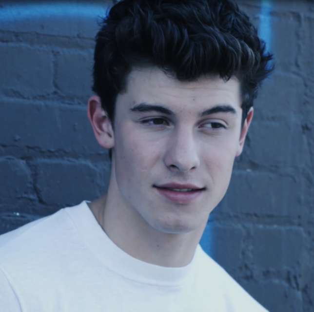 Shawn Mendes Frisur? (Hairstyle)