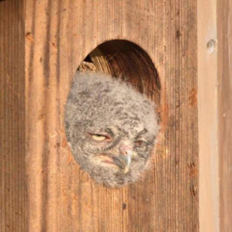 Bild zum Beitrag