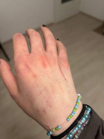 Bild zum Beitrag