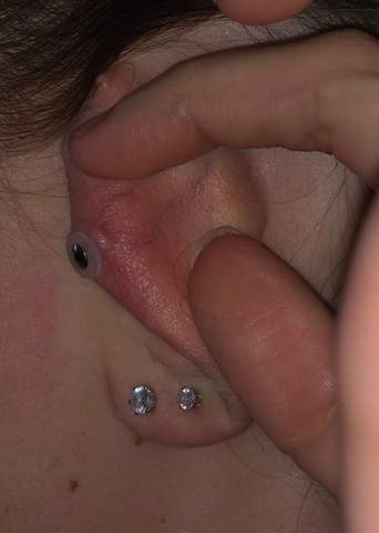 sieht das nach wildfleisch aus piercing