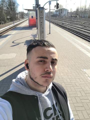 Bild zum Beitrag