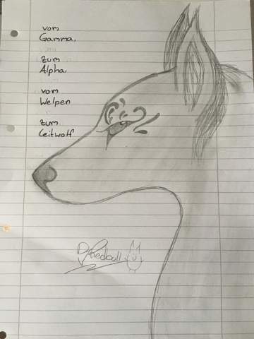 Sieht Der Wolf Gut Aus Zeichnen