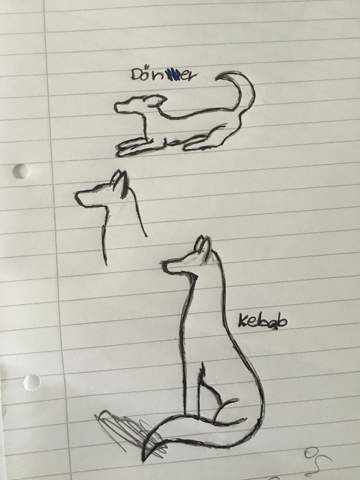 Sieht Der Wolf Gut Aus Zeichnen