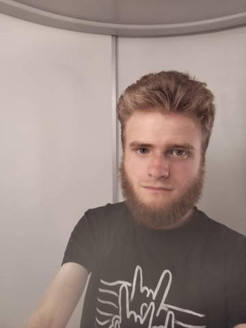 Bild zum Beitrag