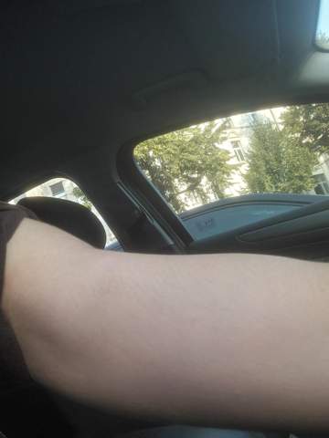 Bild zum Beitrag