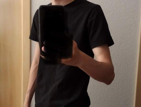 Bild zum Beitrag